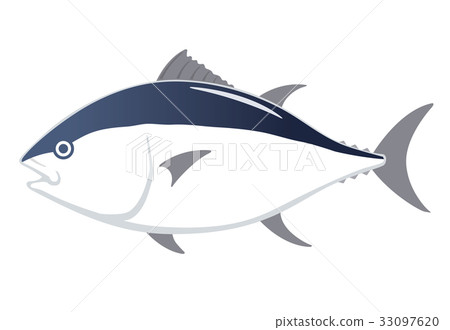 Salmon tuna illustration - Stock Illustration [33097620] - PIXTA