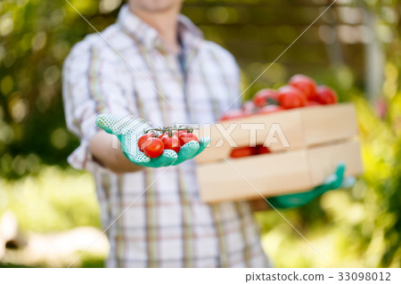 Young man with cherry tomatoes 33098012