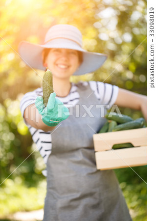 Brunette farmer with cucumbers box 33098019