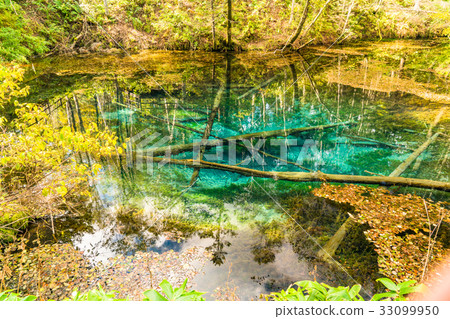 "Hokkaido" God's pond "Autumn" "Hokkaido" God's pond "Autumn" 33099950