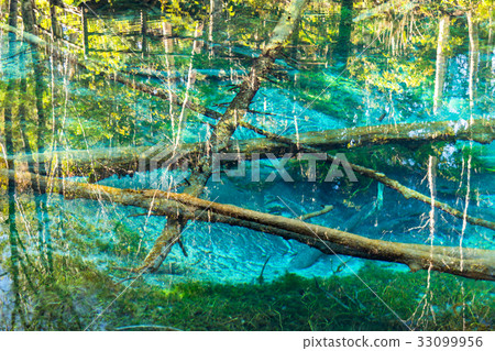 "Hokkaido" God's pond "Autumn" "Hokkaido" God's pond "Autumn" 33099956