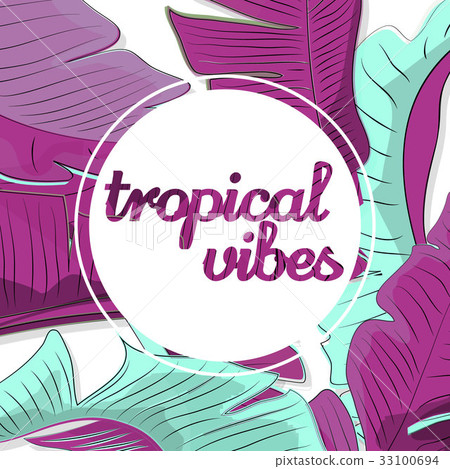Vector tropical vibes illustration. Abstract 33100694