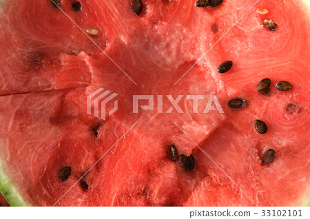 Watermelon Watermelon 33102101