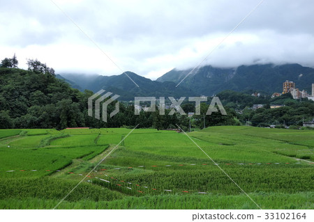 Terazaka Tanada-Mt。 33102164