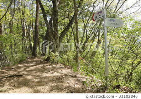 春天色的山路 33102846