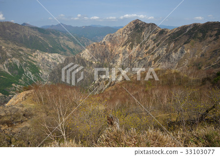 Watarose河腳的殘骸留下了Ashio鐵毒的傷痕 Watarose河腳的殘骸留下了Ashio鐵毒的傷痕 33103077