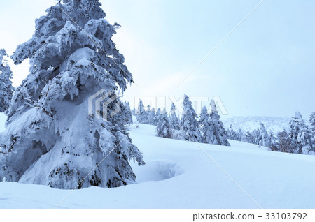 [Inside Hakkoda, Aomori Prefecture] Hakkoda mountain range in winter 33103792