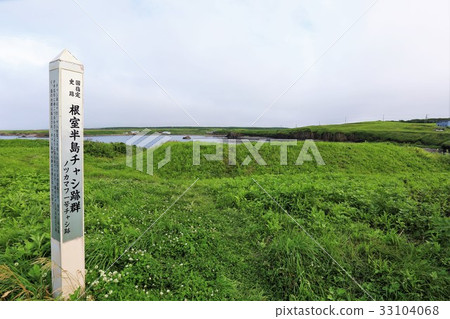 Notsukamafuchashi 33104068