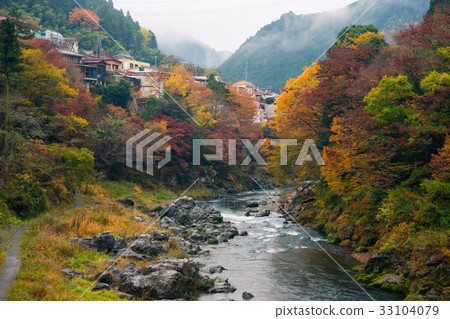 Autumn leaves of Mt. 33104079