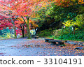 Autumn landscape, bench and colored leaves 33104191