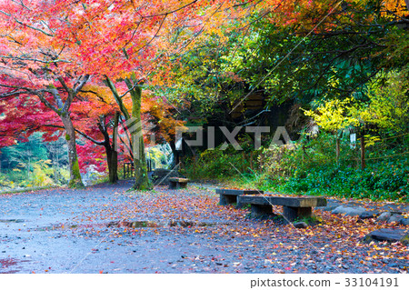 Autumn landscape, bench and colored leaves 33104191