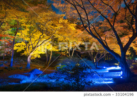 Autumn leaves and illumination 33104196