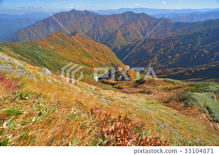 斯諾伊山東坡和Arasawadake在秋天與雪谷 33104871