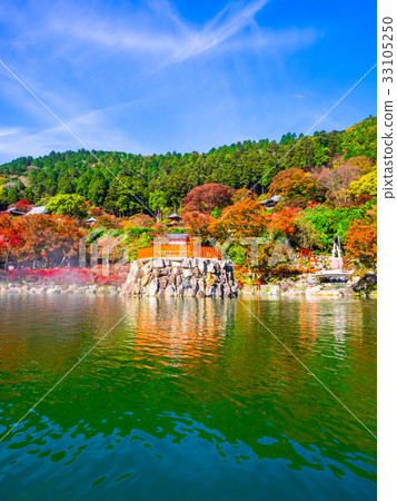 Kate Temple's Benten Pond and autumn leaves 33105250