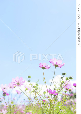 宇宙（空袋） 33106599