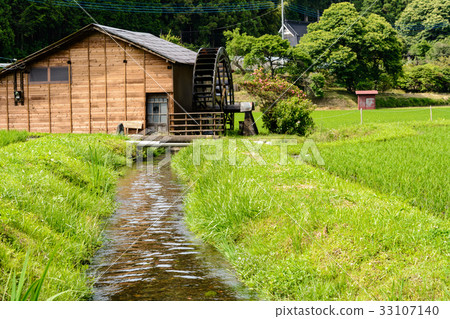Water mill and rice field 33107140