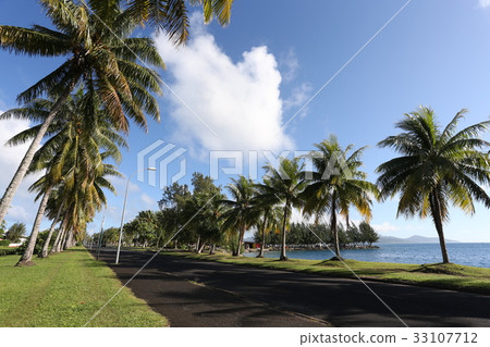 Palm trees and road Palm trees and road 33107712