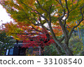 Collection and autumn leaves 33108540
