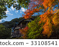 Autumn leaves of Kamakura Literature Museum 33108541