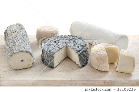 goat's cheese in studio goat's cheese in studio 33109239