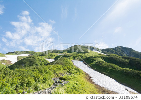 I want to see thunder torizawa 33109674