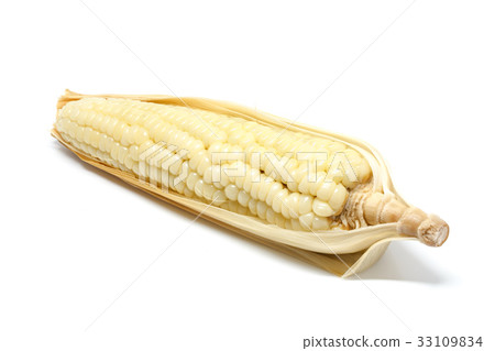 Corn white background Corn white background 33109834