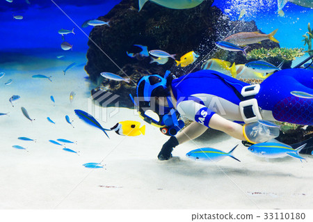 Ikebukuro Sunshine Aquarium Underwater Performance Ikebukuro Sunshine Aquarium Underwater Performance 33110180