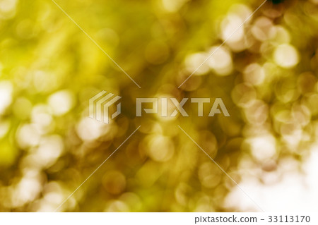 Abstract golden bokeh defocus. 33113170