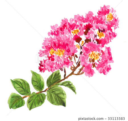 索爾茲伯里17812 pix7 索爾茲伯里17812 pix7 33113383