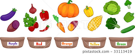 Vegetables Basket Sort By Color 33113419