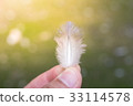 Smooth feathers in hand 33114578