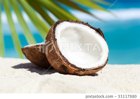 Broken brown coconut on sandy beach Broken brown coconut on sandy beach 33117880