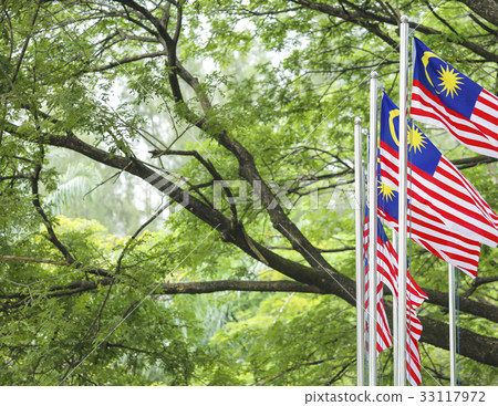 Malaysia Flag, Jalur Gemilang 33117972
