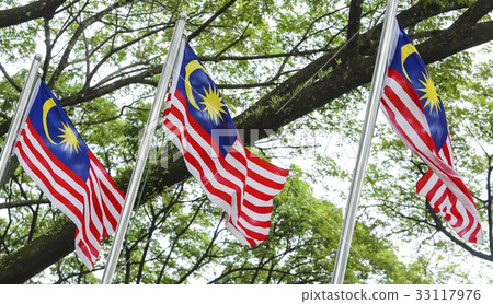 Malaysia Flag, Jalur Gemilang 33117976