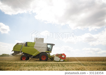 Working combine harvester in a wheat field 33118354