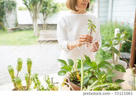 Gardening couple senior lifestyle image Gardening couple senior lifestyle image 33121061