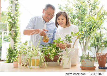 Gardening couple senior lifestyle image Gardening couple senior lifestyle image 33121070
