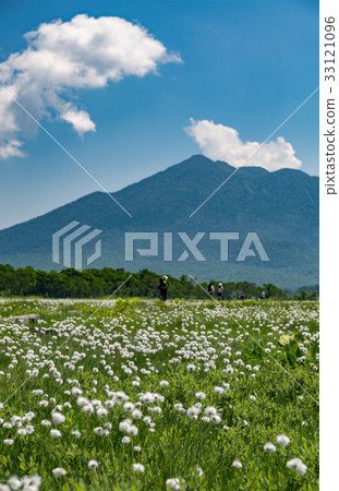 Ozegahara cottongrass community and Mt. 33121096