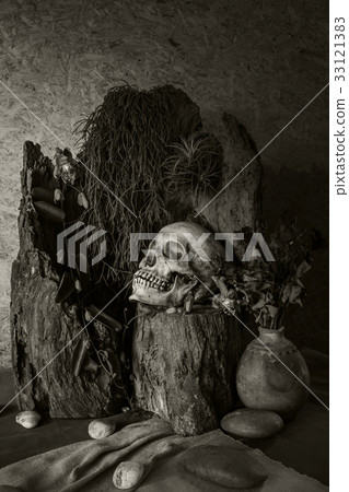 Still life with a human skull with desert plants Still life with a human skull with desert plants 33121383