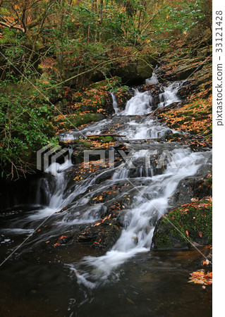 Ruri Kei Autumn leaves Kyoto fu Ruri Kei Autumn leaves Kyoto fu 33121428