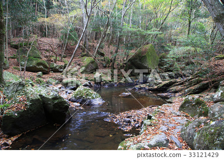 Ruri Kei Autumn leaves Kyoto fu 33121429