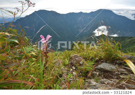 Echigosanzan Nakanotake, Echigo Komagatake and Onishimagama as seen from Mt. Irido 33121824