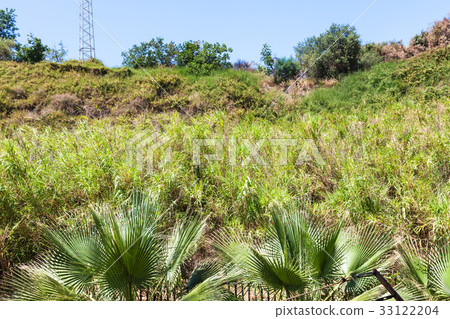 overgrown hill slope in Giardini Naxos town 33122204