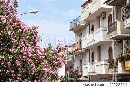 oleander tree and houses in Giardini Naxos town 33122214