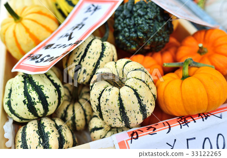 Decoration pumpkin Hida Takayama morning market 33122265