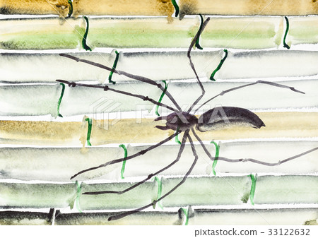 Spider On Bamboo Trunks Stock Illustration