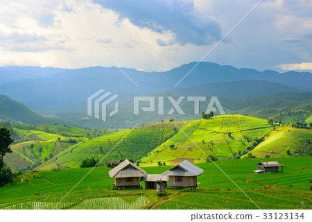 view of green rice fields terrace mountain view of green rice fields terrace mountain 33123134
