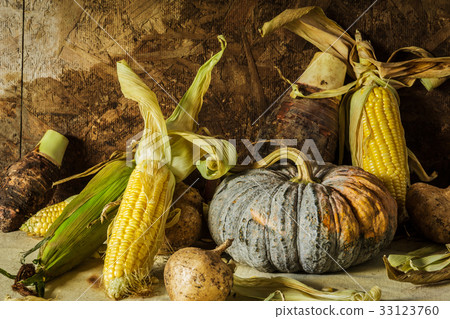 Still life with pumpkin, corn, taro, yam. 33123760
