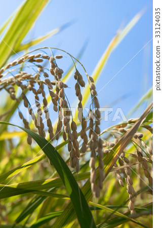 藍天和彩虹 藍天和彩虹 33124035