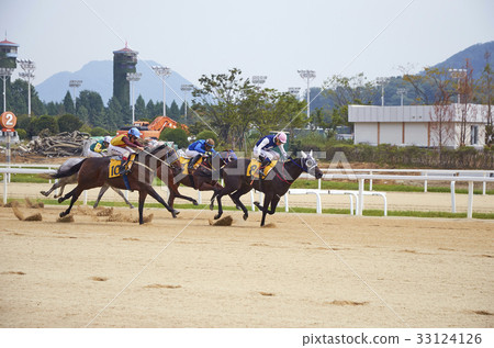 Horse racing, stadium, horse, horse racing park 33124126